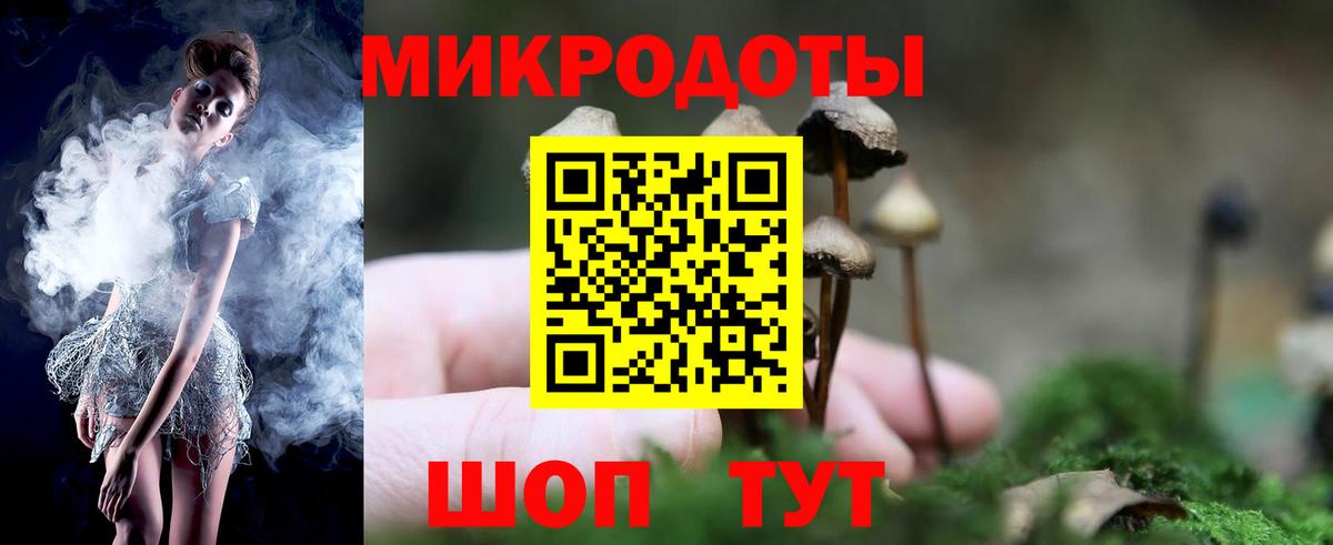 сколько стоит  Галлюциногенные грибы Magic Shrooms  Псилоцибиновые грибы мухоморы  Вход с VPN  Нововоронеж 